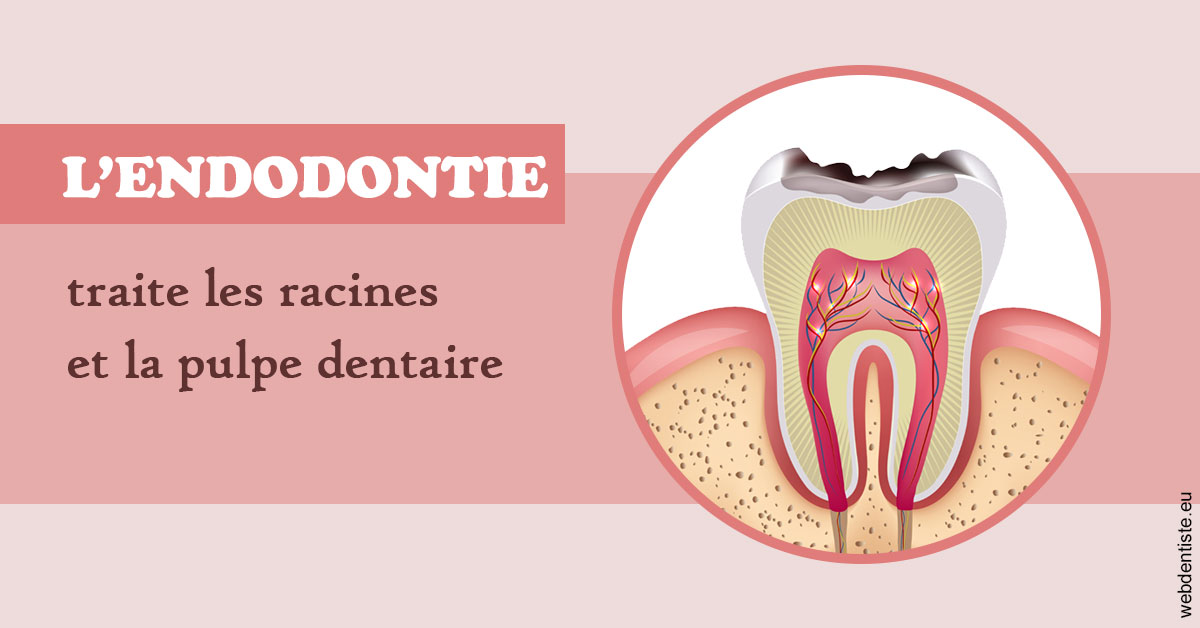 https://docteur-sabine-teiten.chirurgiens-dentistes.fr/L'endodontie 2