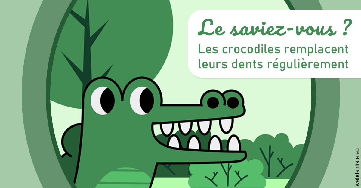 https://docteur-sabine-teiten.chirurgiens-dentistes.fr/Crocodiles 2